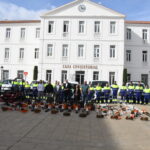 El Partido Popular denuncia “falta de rigor y coherencia” en la externalización del servicio de jardines en San Roque.